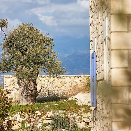 Orelia Cretan Deluxe Apartments كاميلاريون المظهر الخارجي الصورة